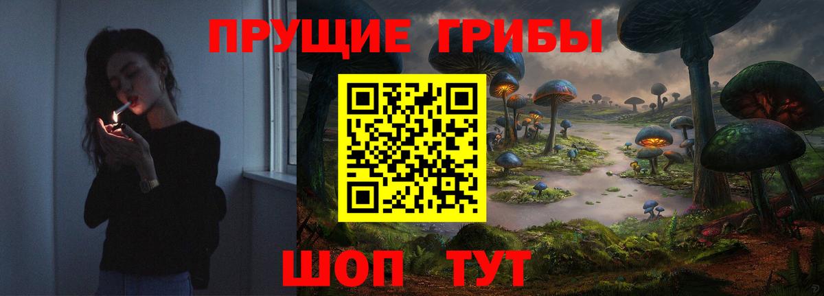 Псилоцибиновые грибы мицелий  Вход с VPN  Балашиха 